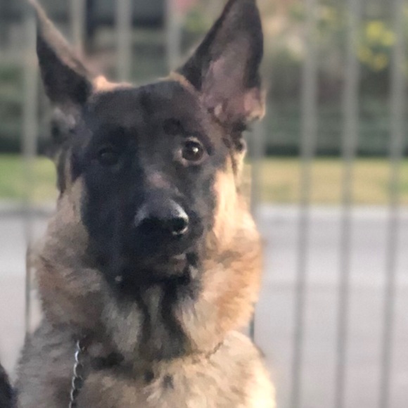 Meet your Posher, Christine - Picture 1 of 1